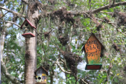 Along the St. Johns River in central Florida, scores of personalized birdhouses decorate the “Birdhouse Canal.” The birdhouses are constantly changing. Some birdhouses disappear as they fall into the canal or are purposefully removed, while new birdhouses populate the canal as folks create a memorial for the recently deceased. The variety of birdhouses—their form, construction materials, and unique attributes—is remarkable.