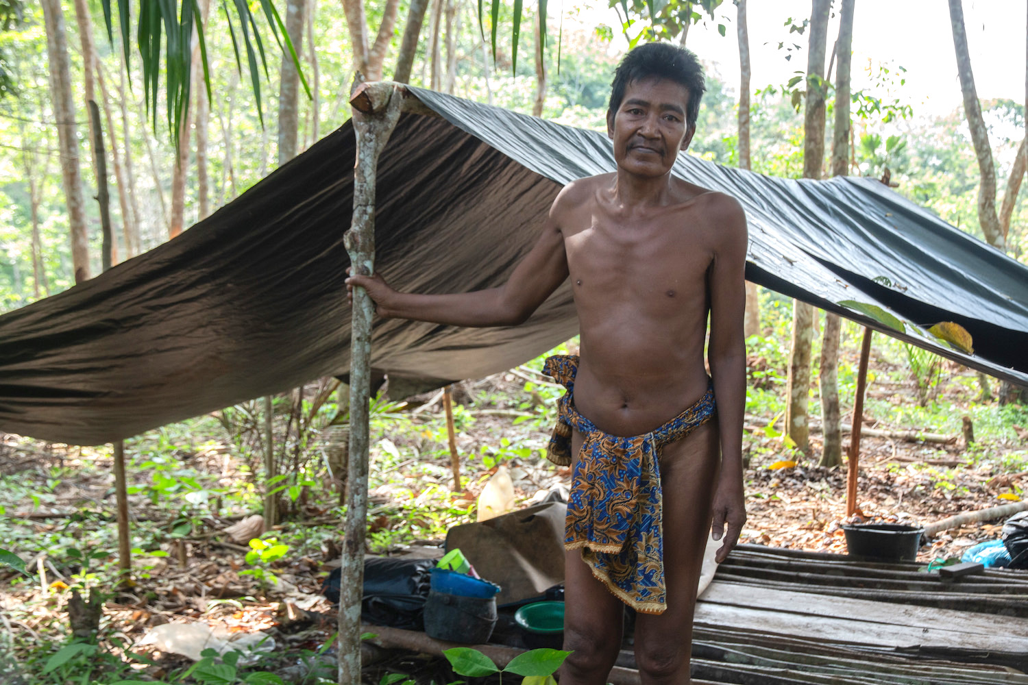 1500px x 1000px - Social Distancing in a Sumatra Rainforest â€“ SAPIENS