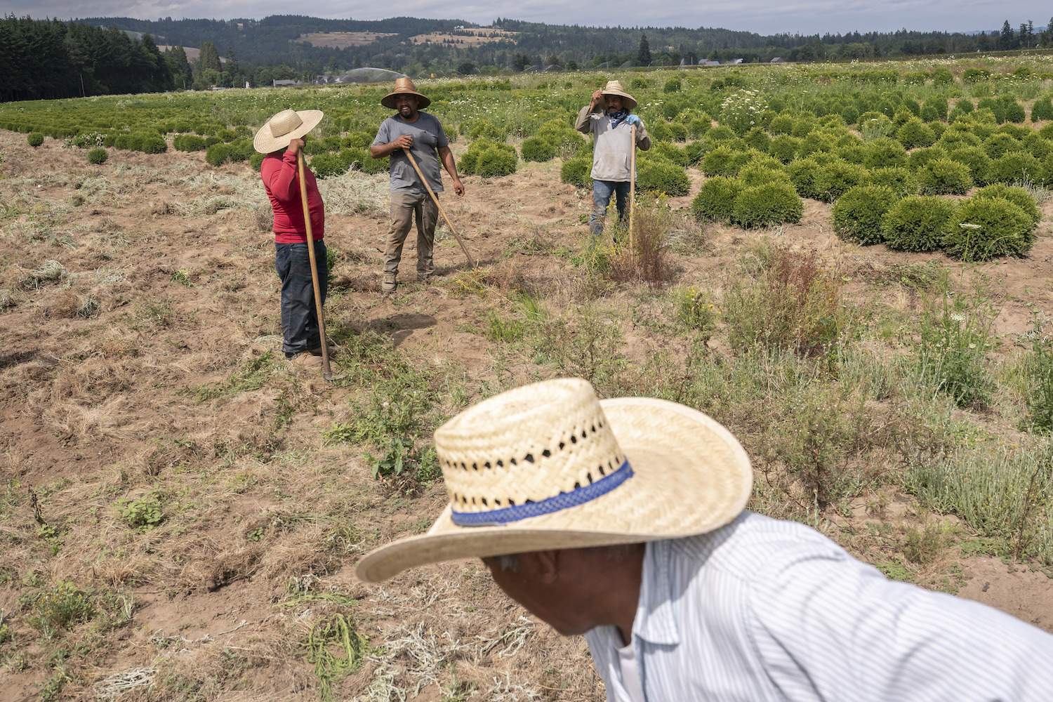 Farmers fear dust rules won't reflect rural life