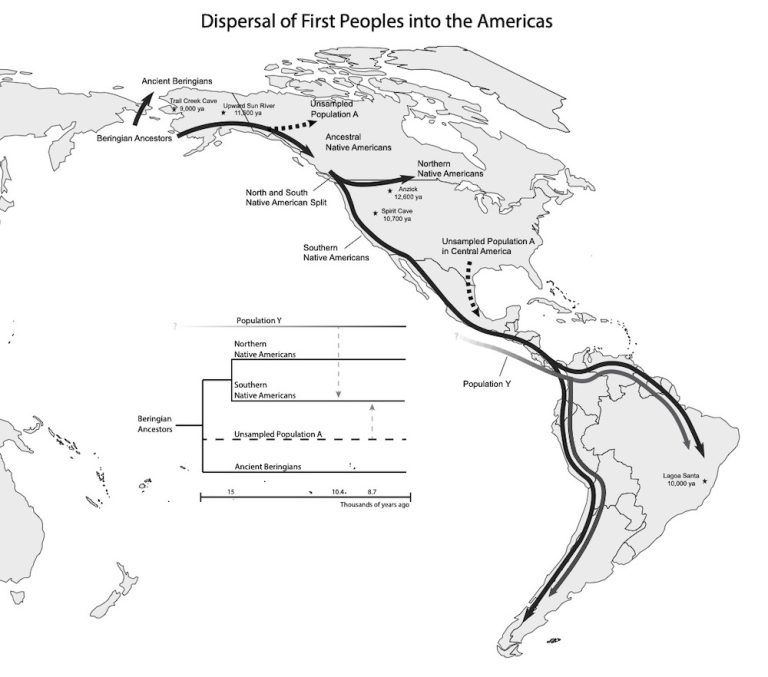 05_migration-through-the-Americas-768x677.jpg