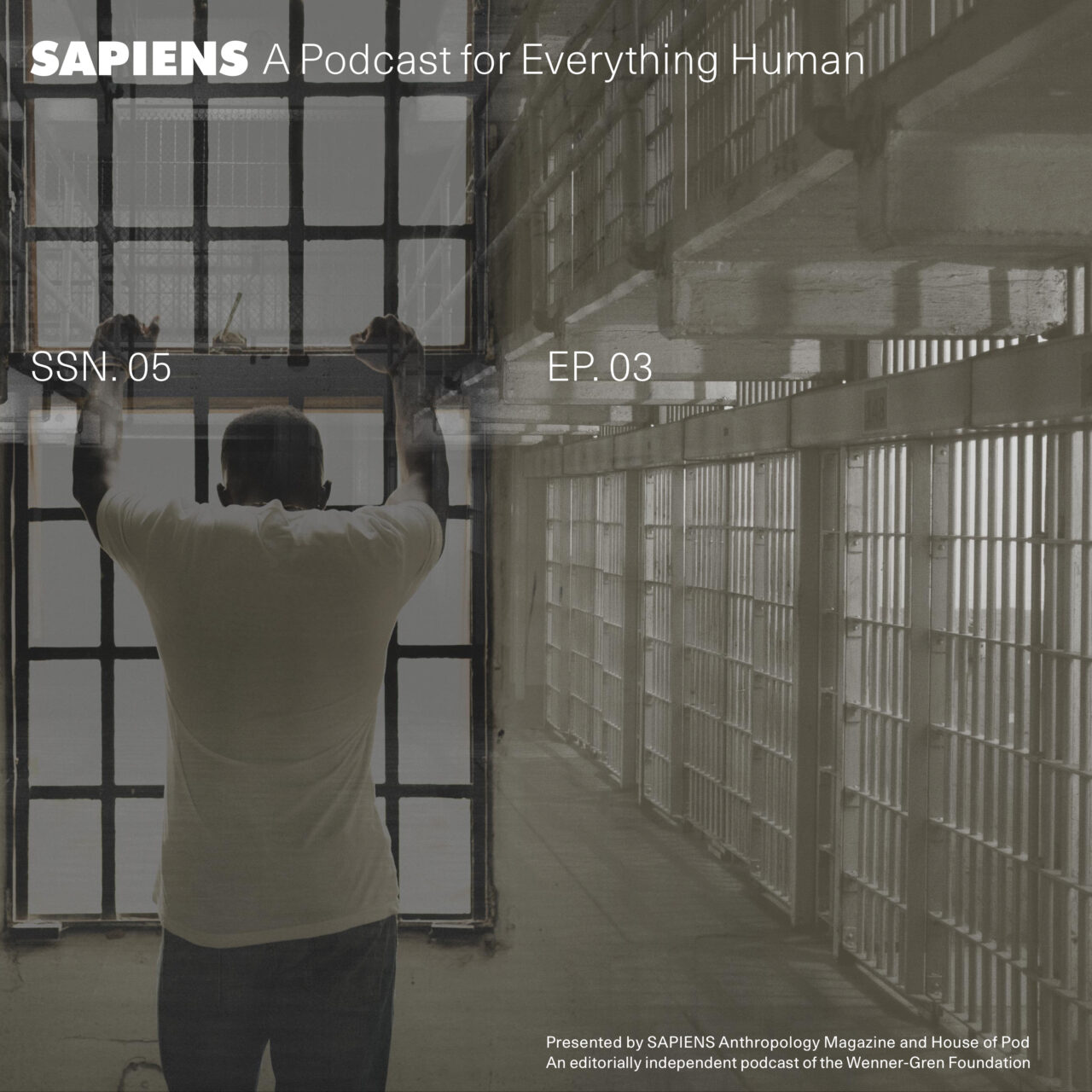 The Power of Criminal Prosecutors – SAPIENS