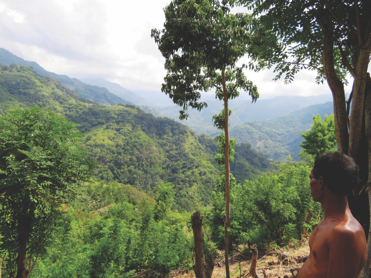 On Flores Island, Do 