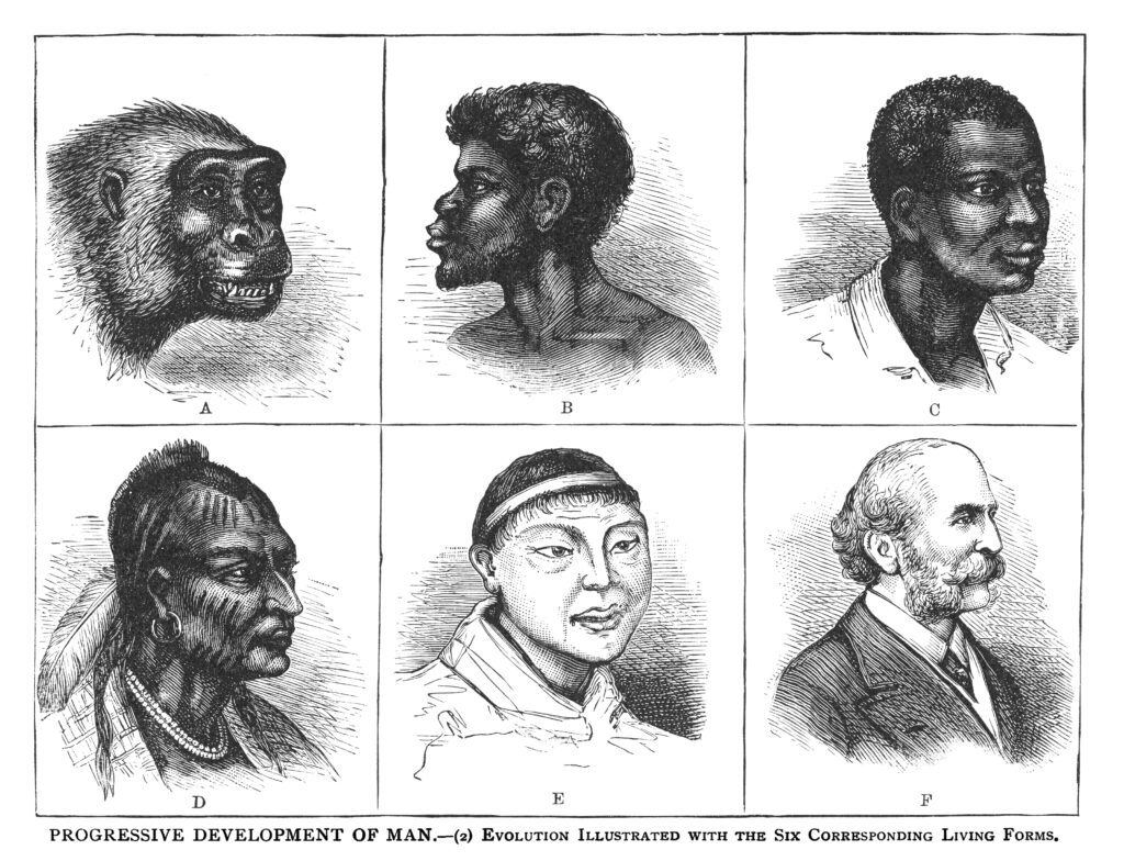 A black-and-white illustration features a grid of six faces, the top left depicting an ape and the bottom right depicting a white-skinned man in a suit. Sketches representing an African, Native American, and Asian person fill the boxes along the way in that order.