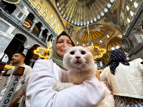 With several people around them, a person wearing an olive green headwrap and white long-sleeved shirt cradles a beige cat who is facing the viewer. They are in a building topped with an ornately decorated gold dome.