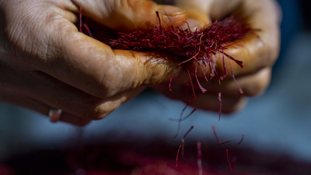 A close-up image features two stained-orange hands holding a cluster of objects that look like small, orange strands.