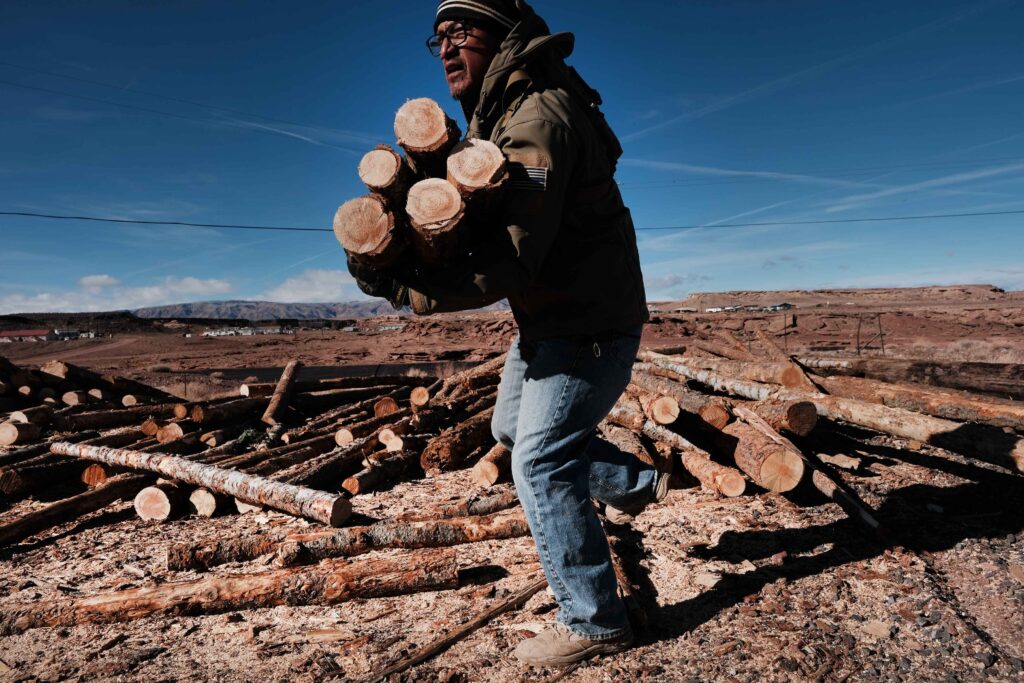 Walking amid a pile of logs under a blue sky, a person wearing brown boots, blue jeans, and a black jacket carries wood rounds.