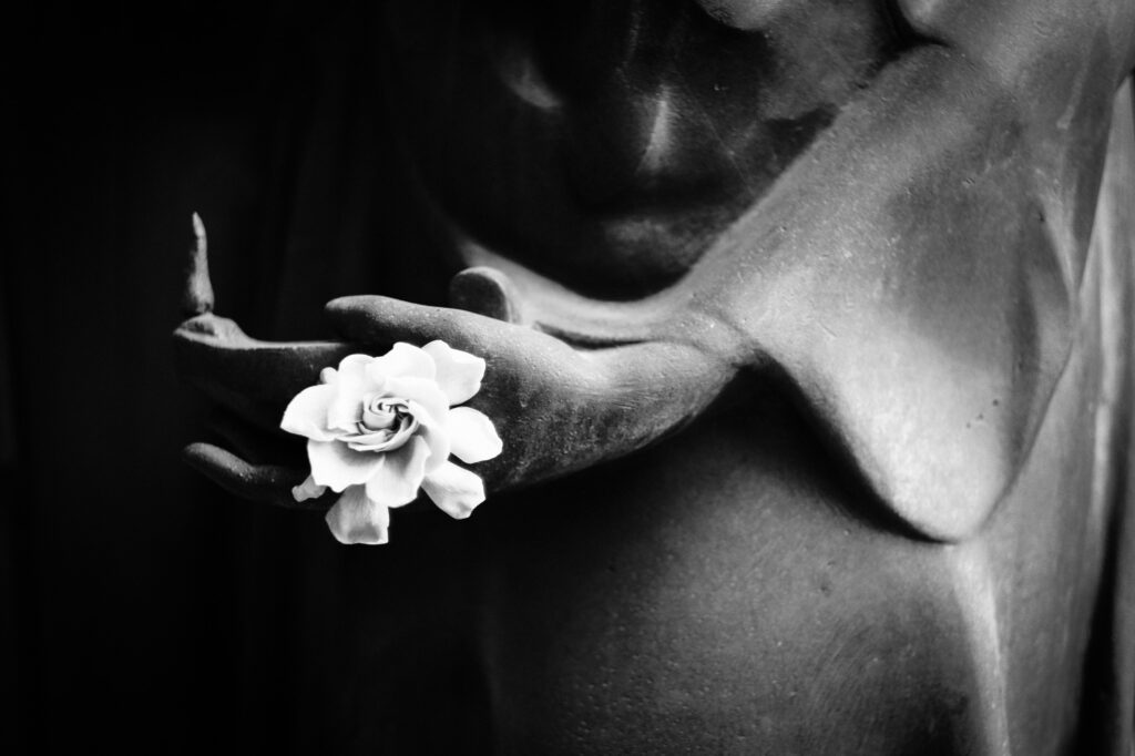 An image focuses on two hands of a statue in shadow coming together holding a white flower.