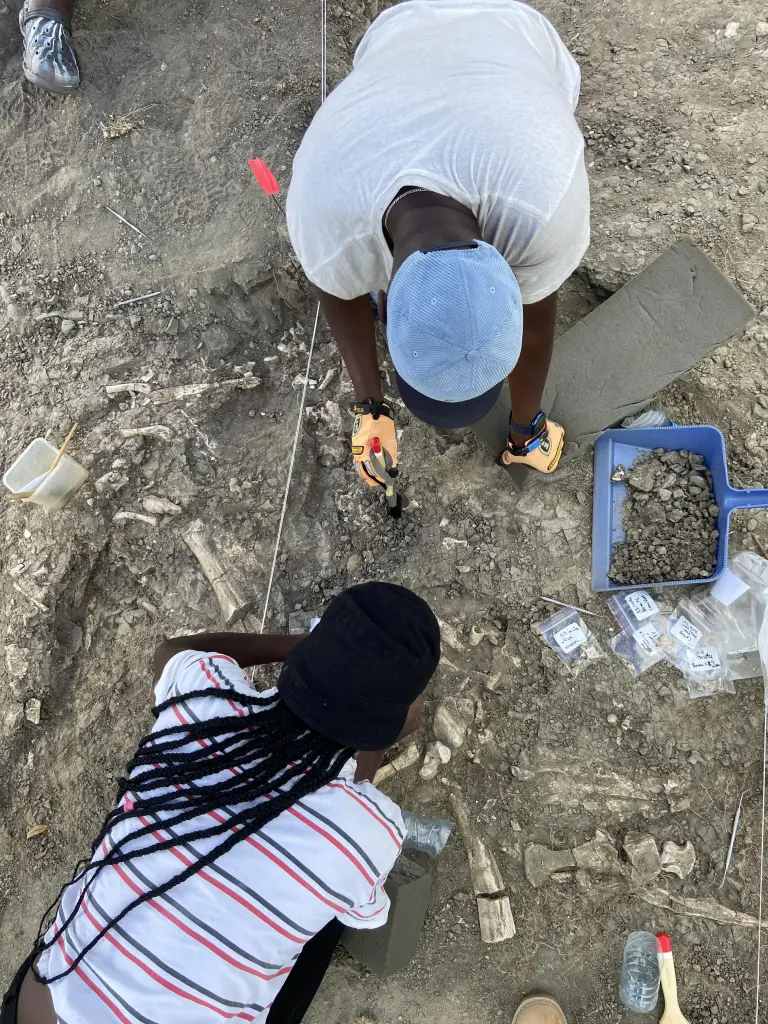 Two workers kneel while carefully digging up and brushing off bits of debris, some of which they collect in small plastic bags.